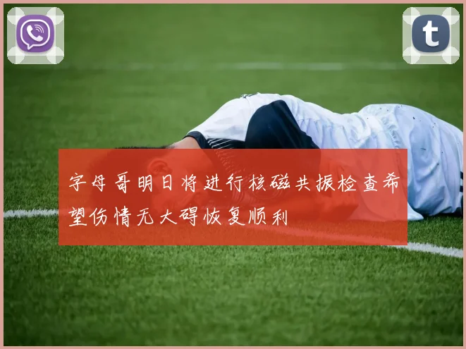 字母哥明日将进行核磁共振检查希望伤情无大碍恢复顺利