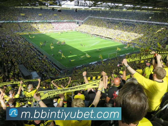 BBIN体育品牌故事