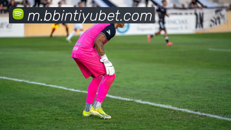 BBIN体育服务体系